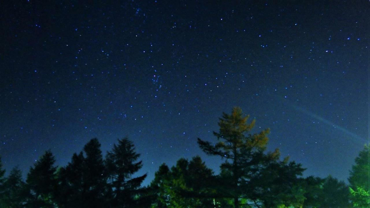 Blueberry Pension Madarao Iiyama Екстериор снимка