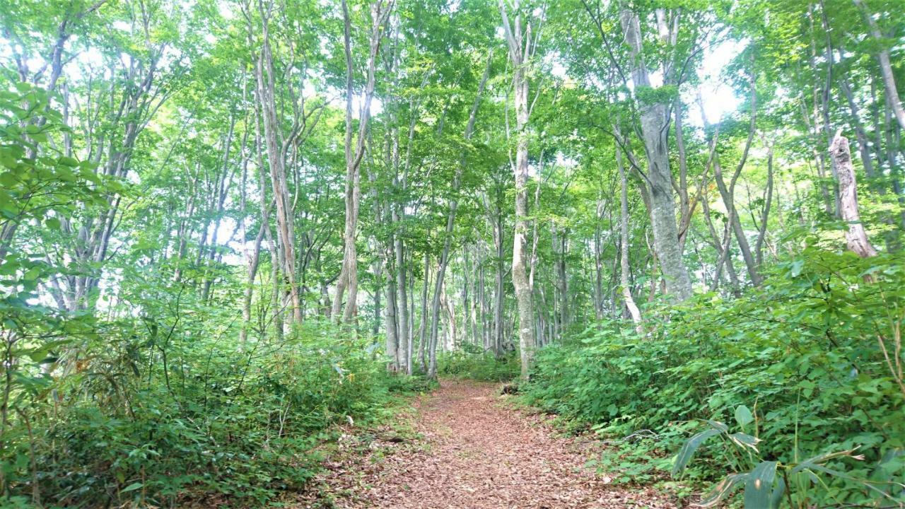 Blueberry Pension Madarao Iiyama Екстериор снимка